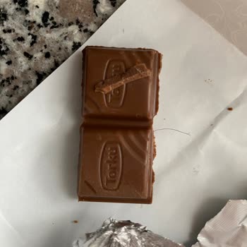 Torku Dan Kıl Çıktı