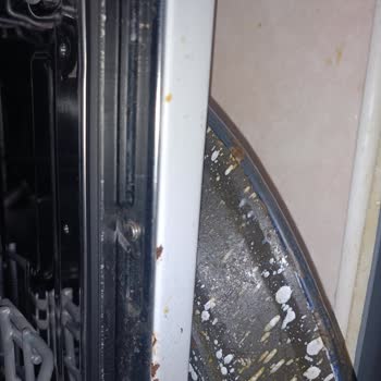 Beko Bulaşık Makinem Paslandı Ve Boyaları Kalkıyor.