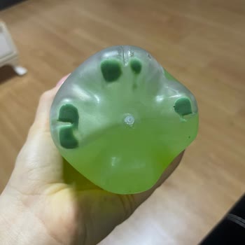 Schweppes Gazlı İçecek Küflü