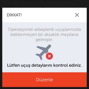 Ajet Ve THY'nin Sistem Hataları: Çağrı Merkezi Ve Online Check-in Çilesi