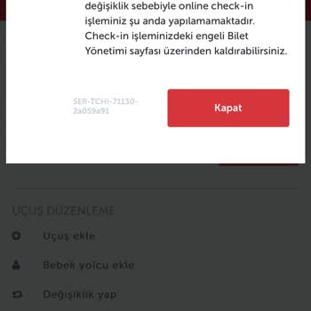 Ajet Ve THY'nin Sistem Hataları: Çağrı Merkezi Ve Online Check-in Çilesi