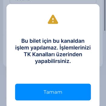 Ajet Ve THY'nin Sistem Hataları: Çağrı Merkezi Ve Online Check-in Çilesi
