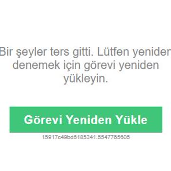 Bloxflip Kayıt Sorunu, Recaptcha Yüklenmiyor!
