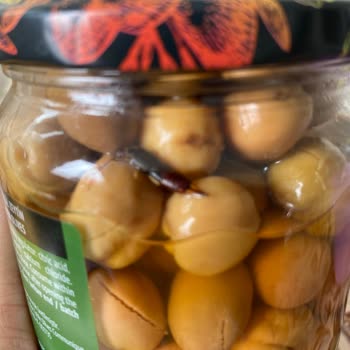 MarmaraBirlik Zeytin İçinde Böcek