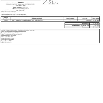 iPhone 13 Servis Hatası