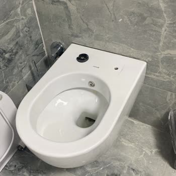 Creavit Klozet Kapağı Menteşe