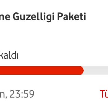 Vodafone Mobil İnternetim Çekmiyor