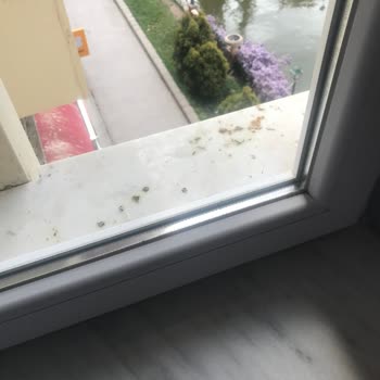 Atos Otel Eskişehir Atos Otelde Bir Gün