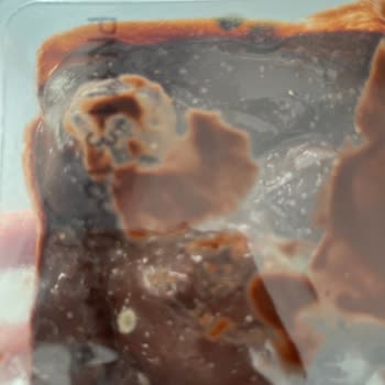 Migros'ta Satılan Küflü Tatlı