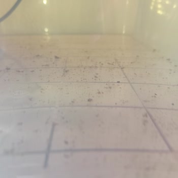 Atlantik Pet Ürünleri Isıtıcı Sıkıntısı