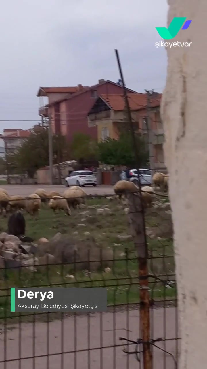 Aksaray Belediyesi Hayvan Besleniyor Merkezde videonun kapak resmi