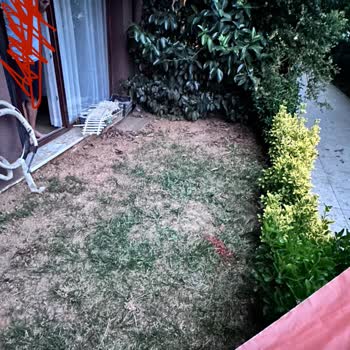 Dumankaya Modern Vadi Site Yönetimi İşini Yapmıyor