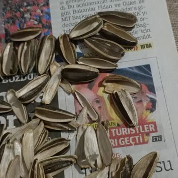 Mopaş Hipermarket Emsal Marka Ayçekirdeği Paketinin 3te 1 İ Boş Kabukla Dolu.