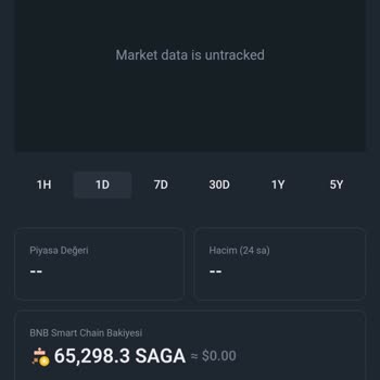 PancakeSwap Saga Coin
