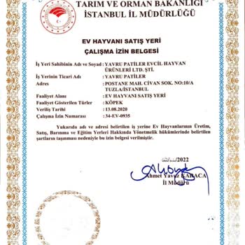 Pati Sahiplendirme Sahiplendirme İşlemi Sırasında Yaşanan Sorunlar