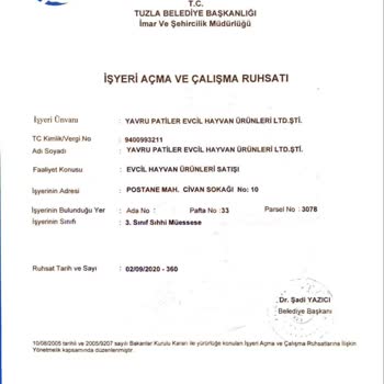 Pati Sahiplendirme Sahiplendirme İşlemi Sırasında Yaşanan Sorunlar