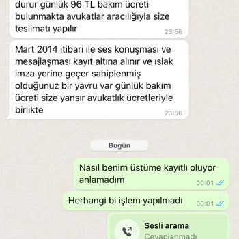 Pati Sahiplendirme Sahiplendirme İşlemi Sırasında Yaşanan Sorunlar