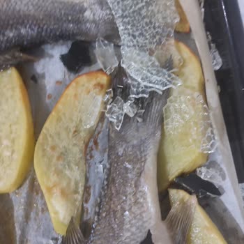 Arçelik Fırının Camı Patladı