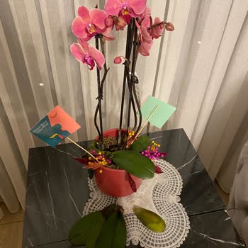 Çiçek Sepeti Ayıplı Ürün