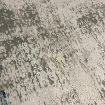 Ademoğlu Halı Yıkama, Halımızı Kullanılmaz Hale Getirdi