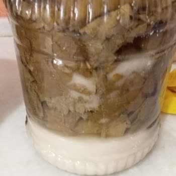 Egezerenorganik İsimli Satıcının Bozuk Ürünü