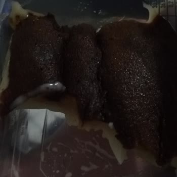 BİM Osmanoğlu Tatlı Hüsranı