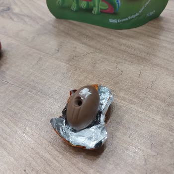 Ozmo Mini Eggs Delik