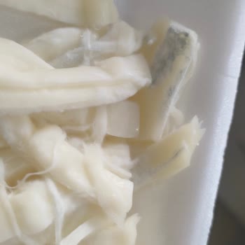 Yunus Market Bozuk Peynir Son Kullanma Tarihi Ve Paketleme Tarihi Yok