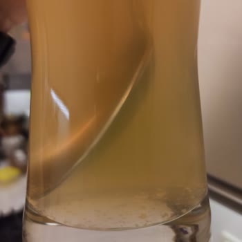 Tuborg Blanc Birada Çok Fazla Tortular Var