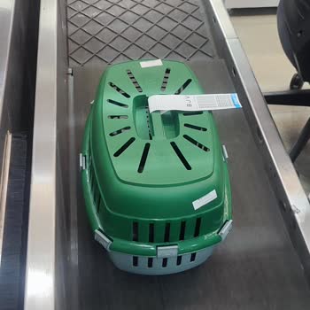 Ajet (Anadolu Jet) Evcil Hayvan Taşımada Ekstra Ücret Talep Ediyor