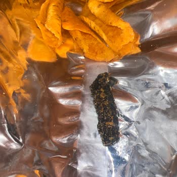 Groselli'den Alınan Patos Rolls'da Tatsız Sürpriz