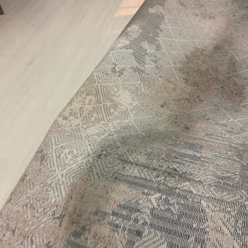Aklar Halı ve Koltuk Yıkama (İstanbul) Halıcı Halılarımı Yıkamadan Küflendirip Gönderdi
