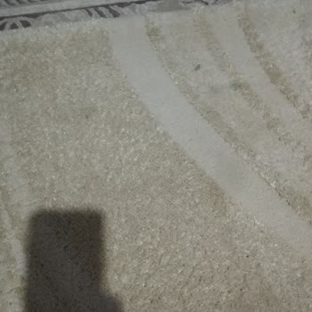 Özdemir halı Halı Yıkama Hüsranı: Temiz Beklentisi Karşılanmadı