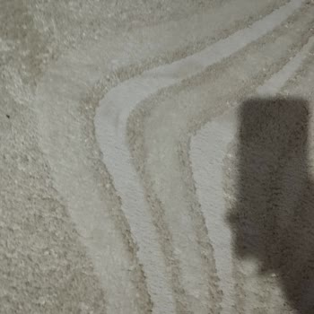 Özdemir halı Halı Yıkama Hüsranı: Temiz Beklentisi Karşılanmadı