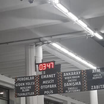 Ağrı Vip Turizm Vip Firma Deneyimi Ve Beklentiler