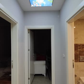 Marshall Boya Renk Aynı Değil Lila Gri Oldu