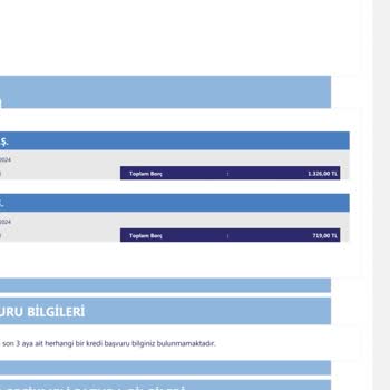 Birikim Varlık Yönetim Birikim Ve Denge Varlık Şirketi