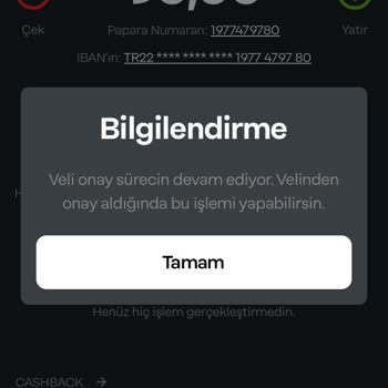 Papara Veli Onayı