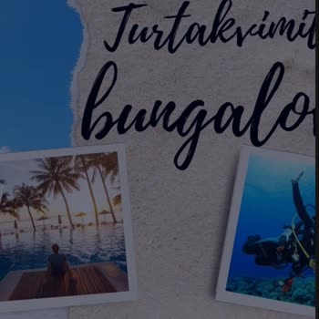 Sapanca Sophones Bungalov Tur Takvimi Travel Bungalow Yanıltmacası