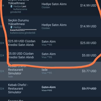 Haberim Olmadan Steam Hesabıma Toplamda 30$ Yüklenmiş