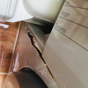 Beko Çamaşır Makinesi Çürüyor!