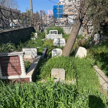 İBB - İstanbul Büyükşehir Belediyesi Mezarlık Temizliği Bakımı