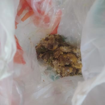 Lezzetlim Bozuk Dana Kavurma