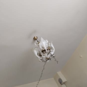 La Mekan Paramı Geri İstiyorum