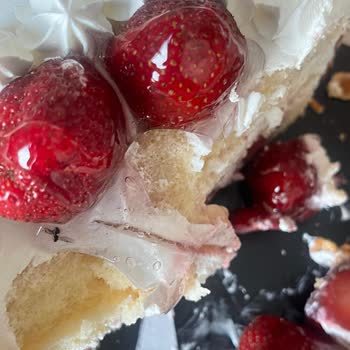 Yücel'in Ekmek Teknesi Bir İşletme Bu Kadar Da Kontrolsüz Olmamalı