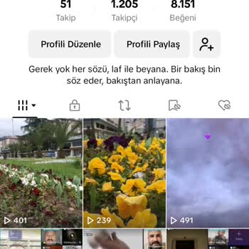 TikTok Durduk Yere İhlal Ve Engeller