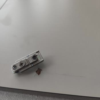 Lineadecor Linea Dekor Mutfak Sorun Bitmiyor