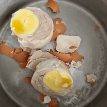 Carrefour Bio Organik Yumurta