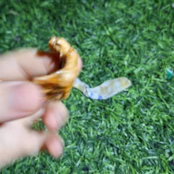 Tokat/Merkez (Alipaşa) Aydöner Yerinden Aldığım Dönerden Kemik Çıktı