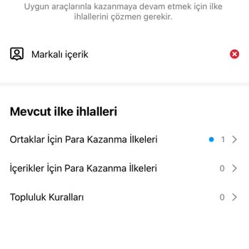 Instagram Köklü Bir Mevcudiyet İhlali?